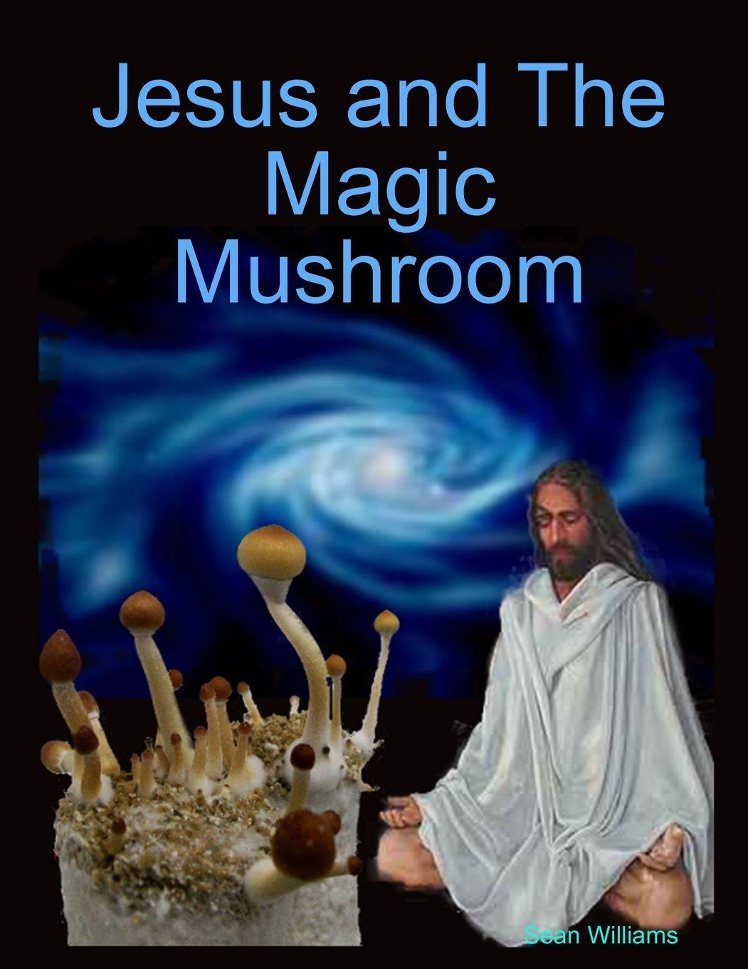 Vorderes Coverbild Jesus and The Magic Mushroom