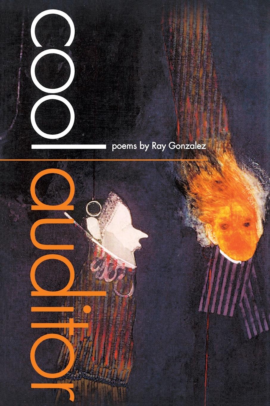 Vorderes Coverbild Cool Auditor