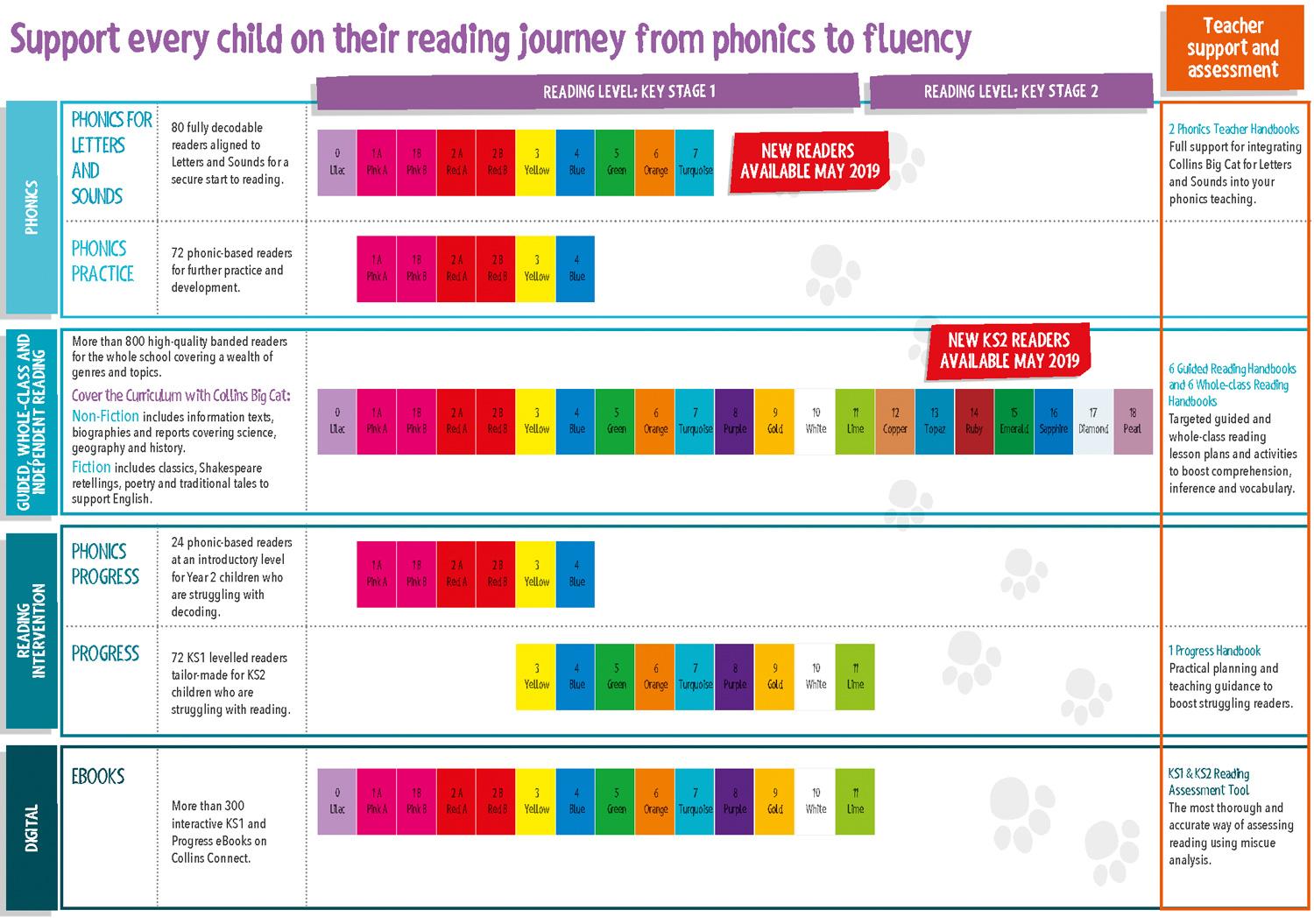 Beispielinhalt (Bild) Animal Ancestors