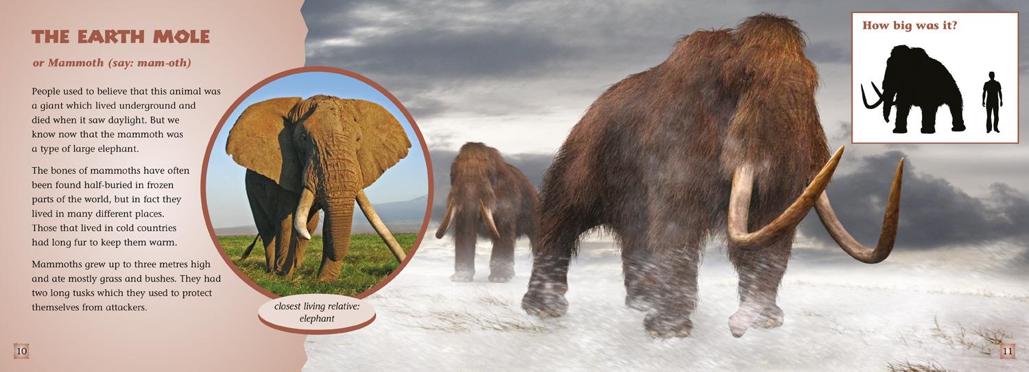 Beispielinhalt (Bild) Animal Ancestors