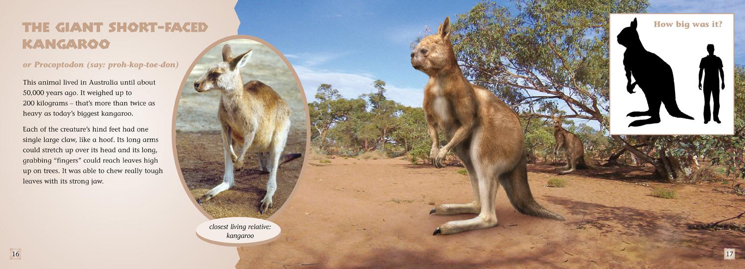 Beispielinhalt (Bild) Animal Ancestors