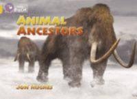 Vorderes Coverbild Animal Ancestors