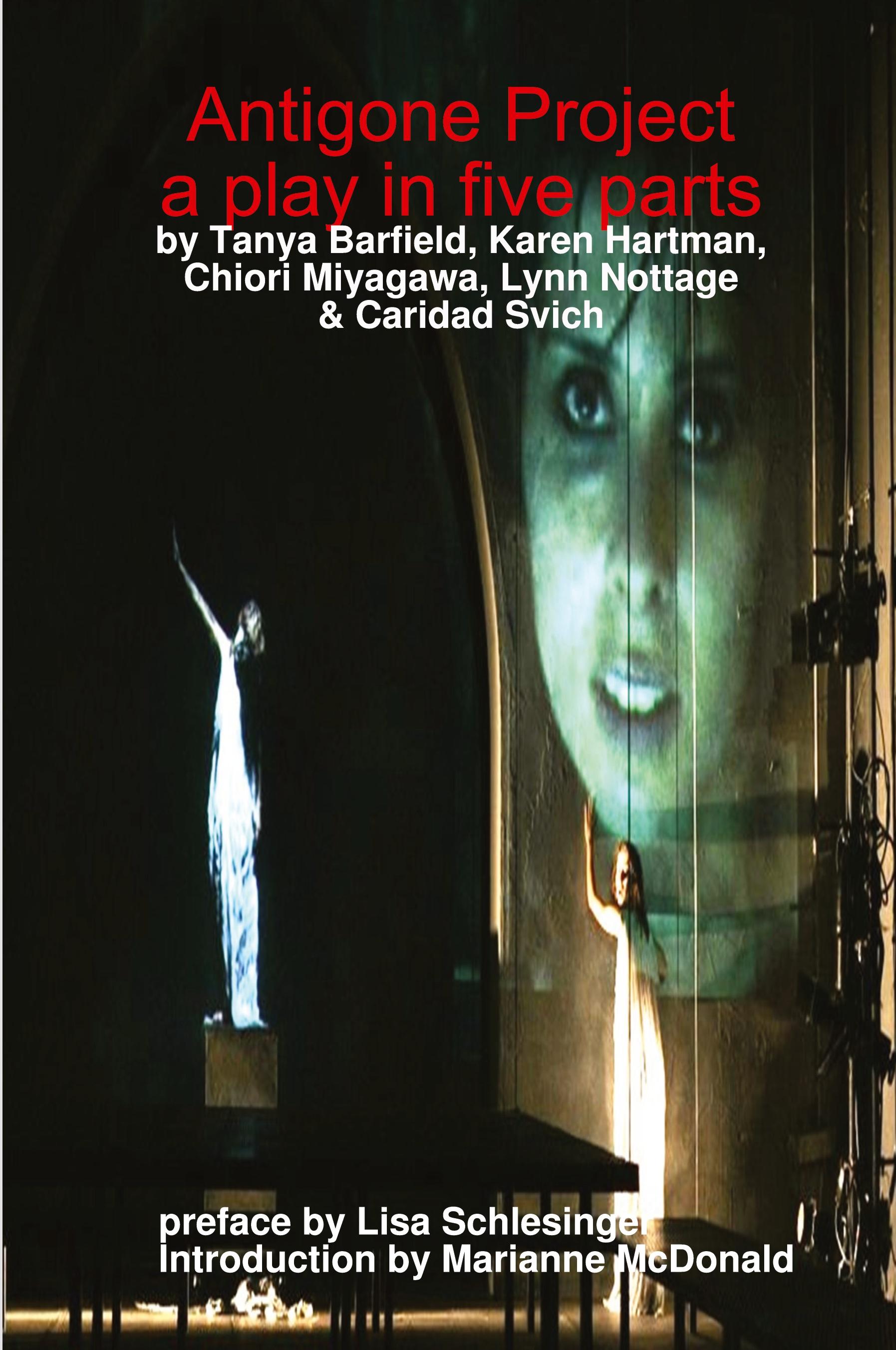 Vorderes Coverbild Antigone Project