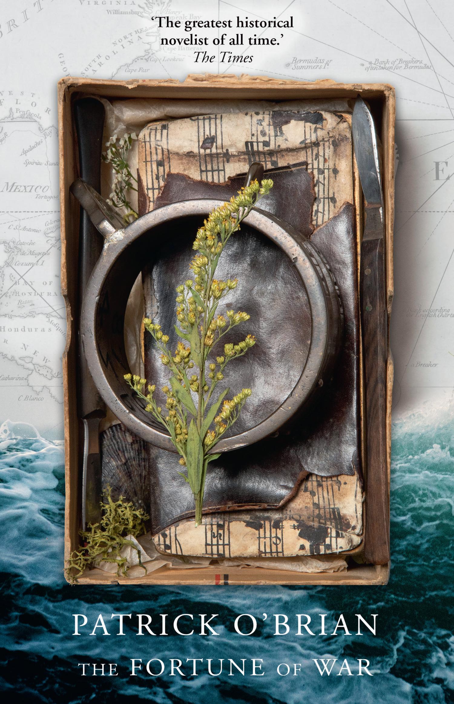 Vorderes Coverbild The Fortune of War