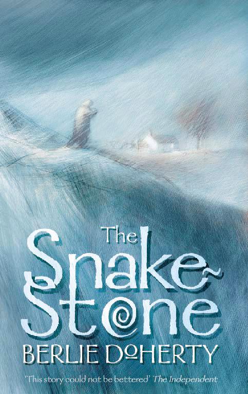 Vorderes Coverbild The Snake-stone
