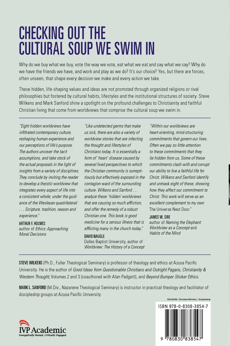 Rückseitencover Hidden Worldviews