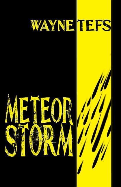 Vorderes Coverbild Meteor Storm