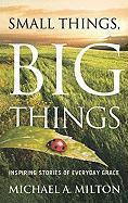 Vorderes Coverbild Small Things, Big Things