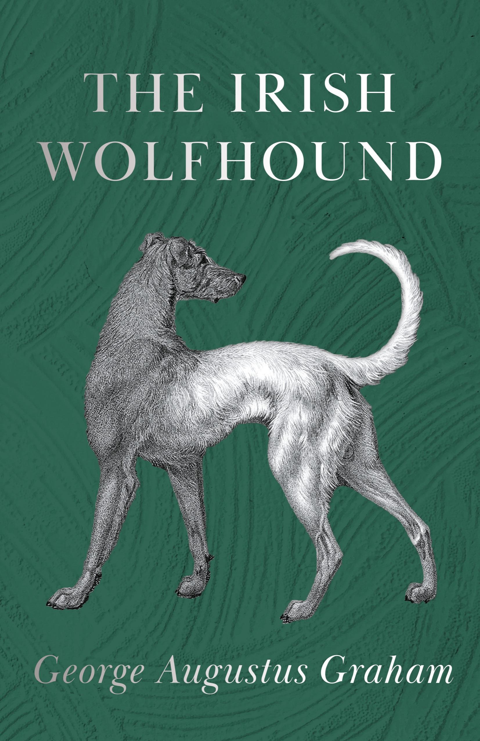 Vorderes Coverbild The Irish Wolfhound