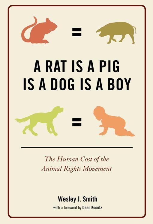 Vorderes Coverbild A Rat Is a Pig Is a Dog Is a Boy