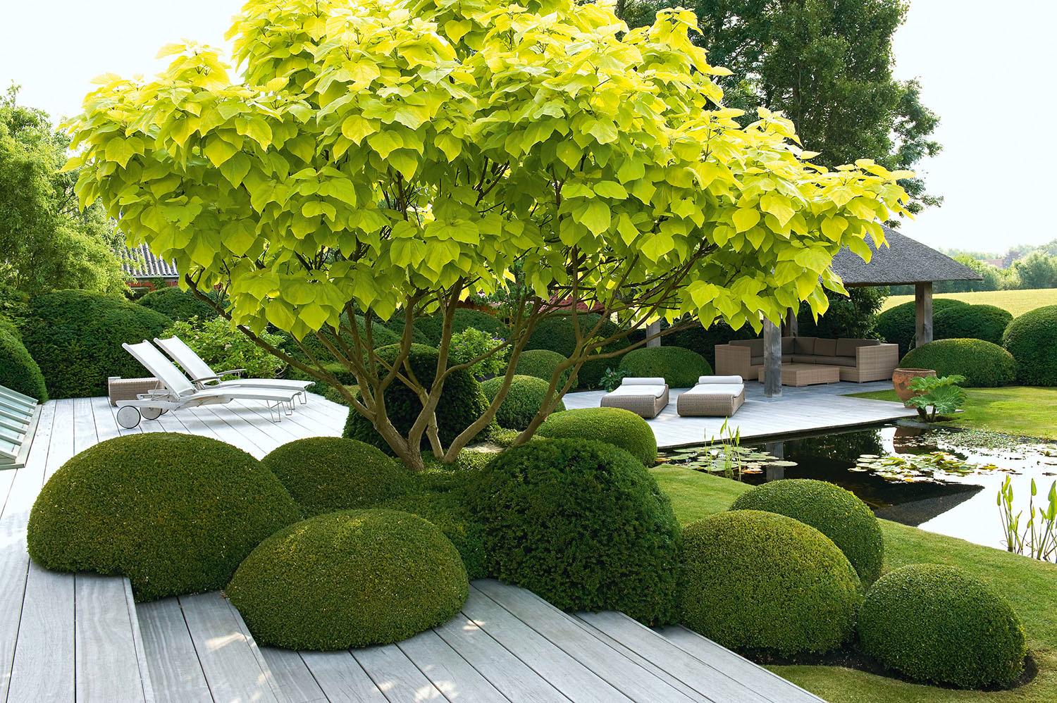 Beispielinhalt (Bild) Exklusives Gartendesign - Spektakuläre Privatgärten