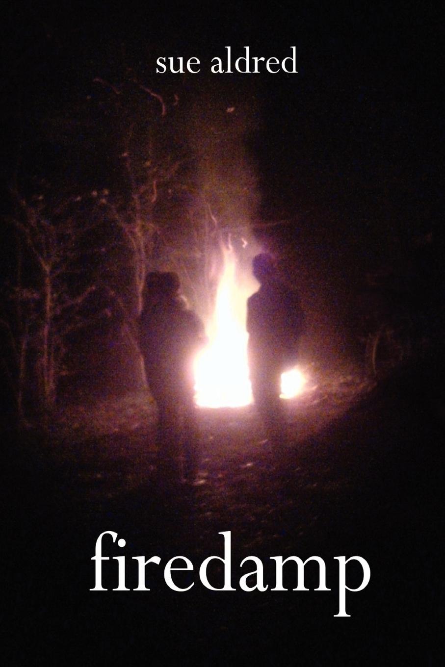 Vorderes Coverbild FIREDAMP