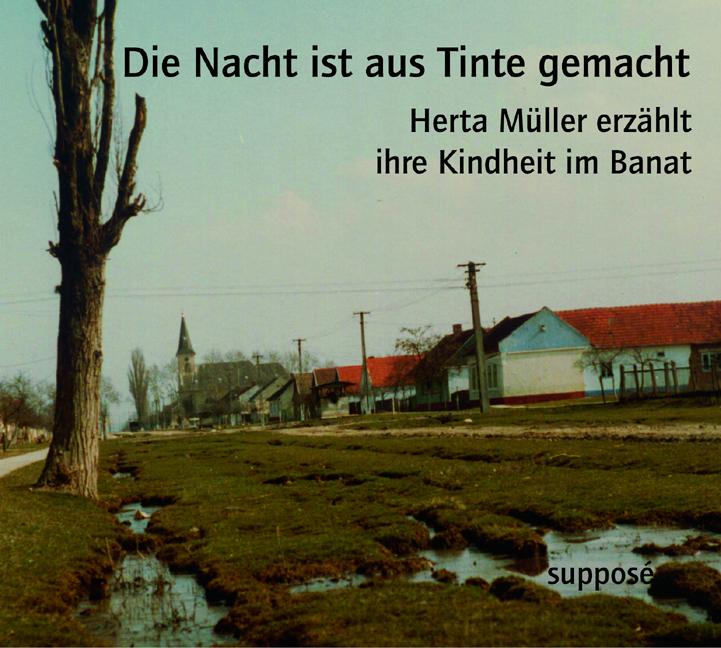 Vorderes Coverbild Die Nacht ist aus Tinte gemacht