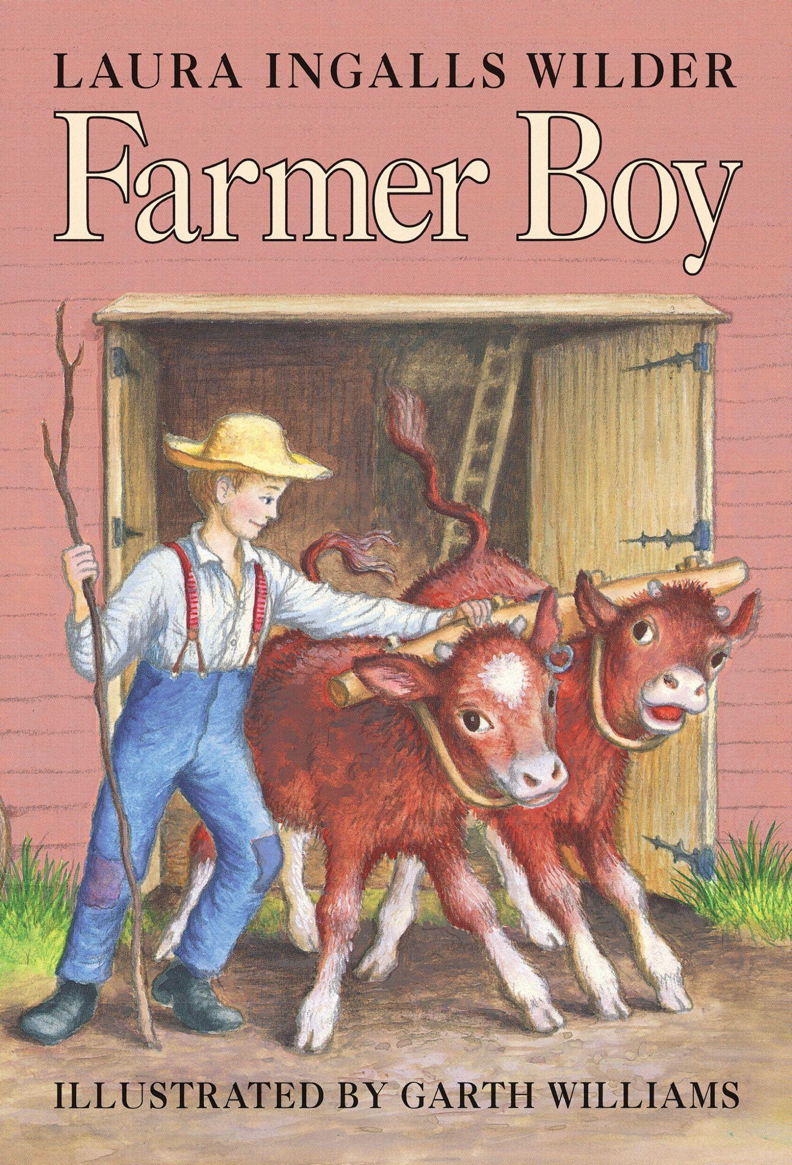 Vorderes Coverbild Farmer Boy
