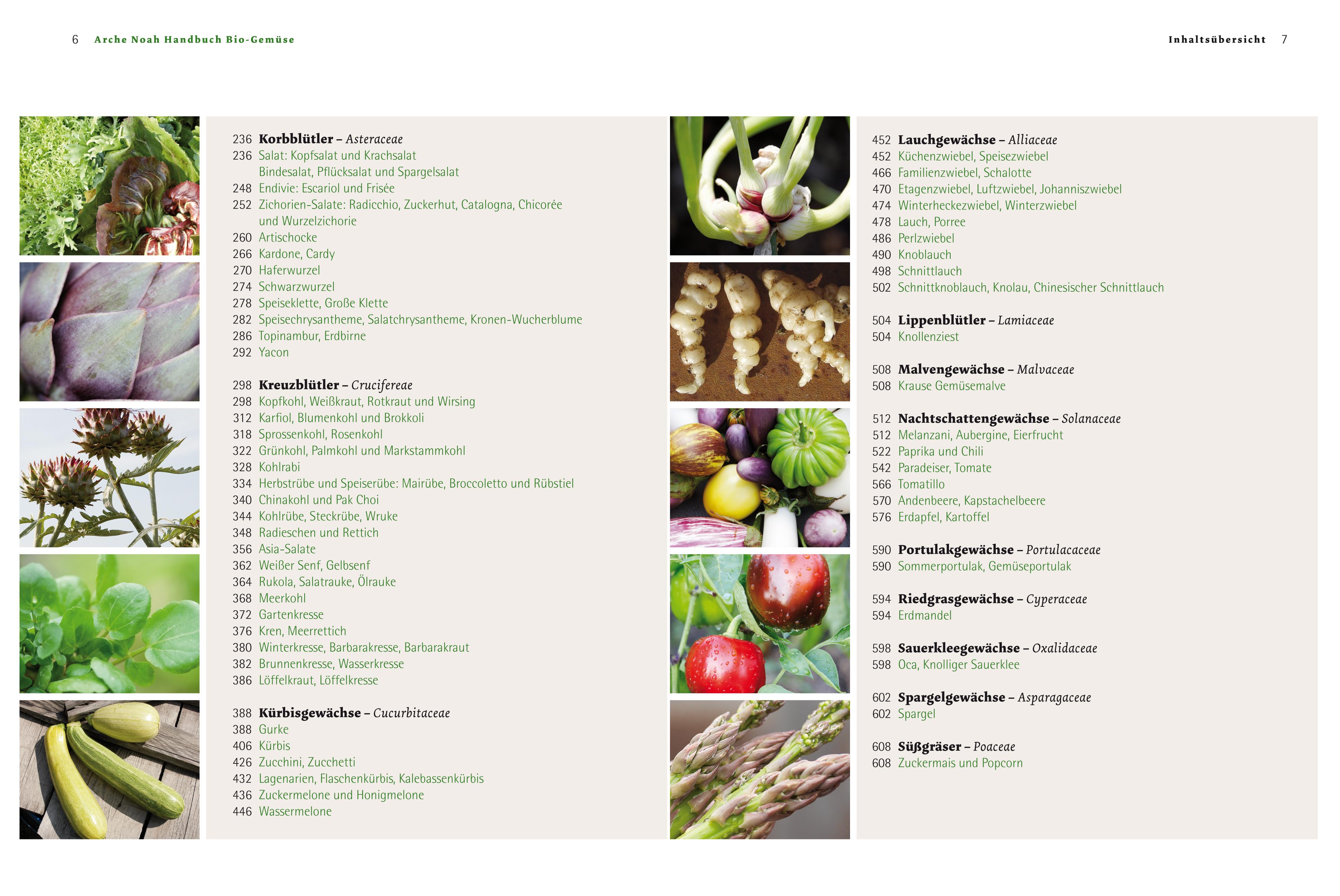 Beispielinhalt (Bild) Handbuch Bio-Gemüse