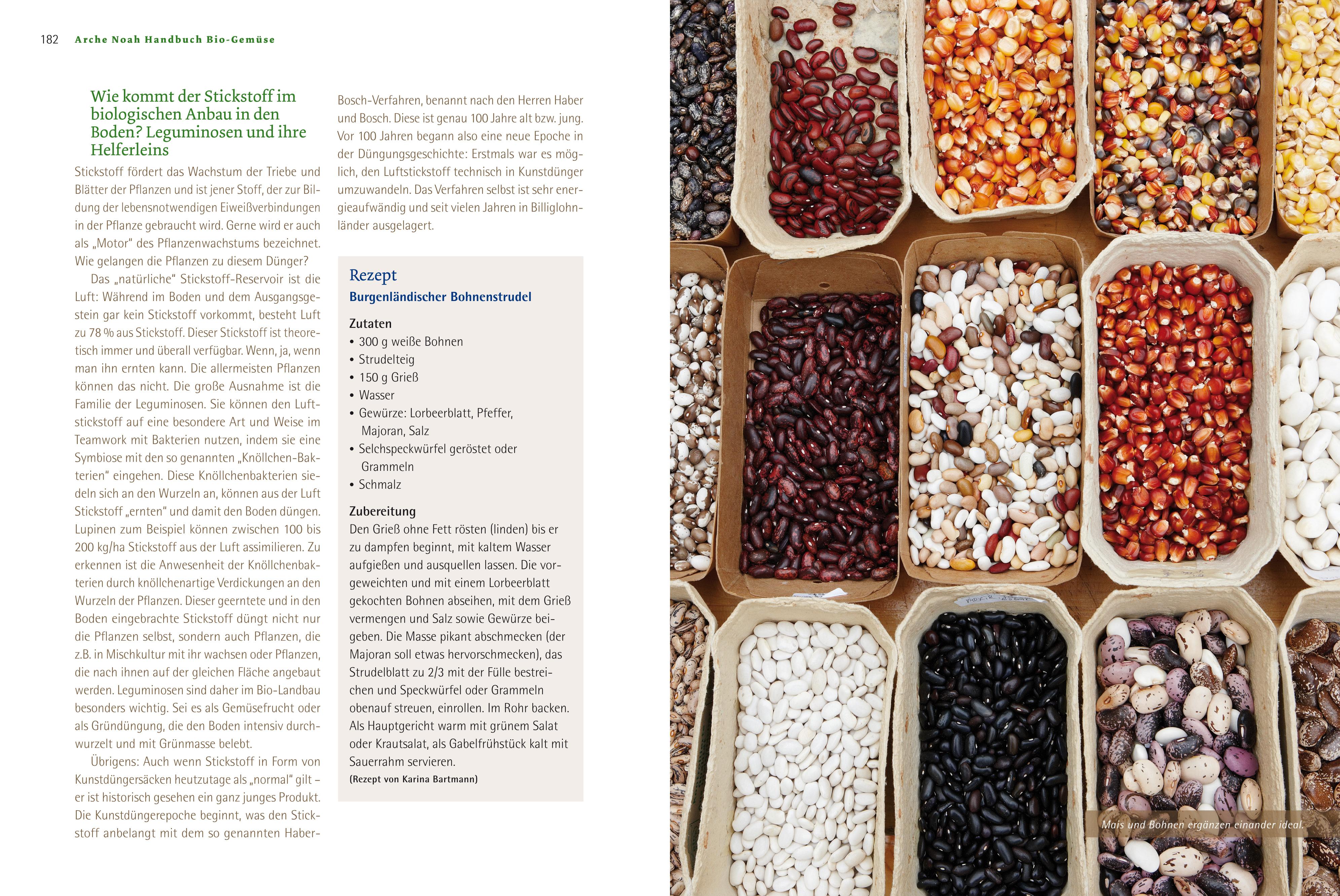 Beispielinhalt (Bild) Handbuch Bio-Gemüse