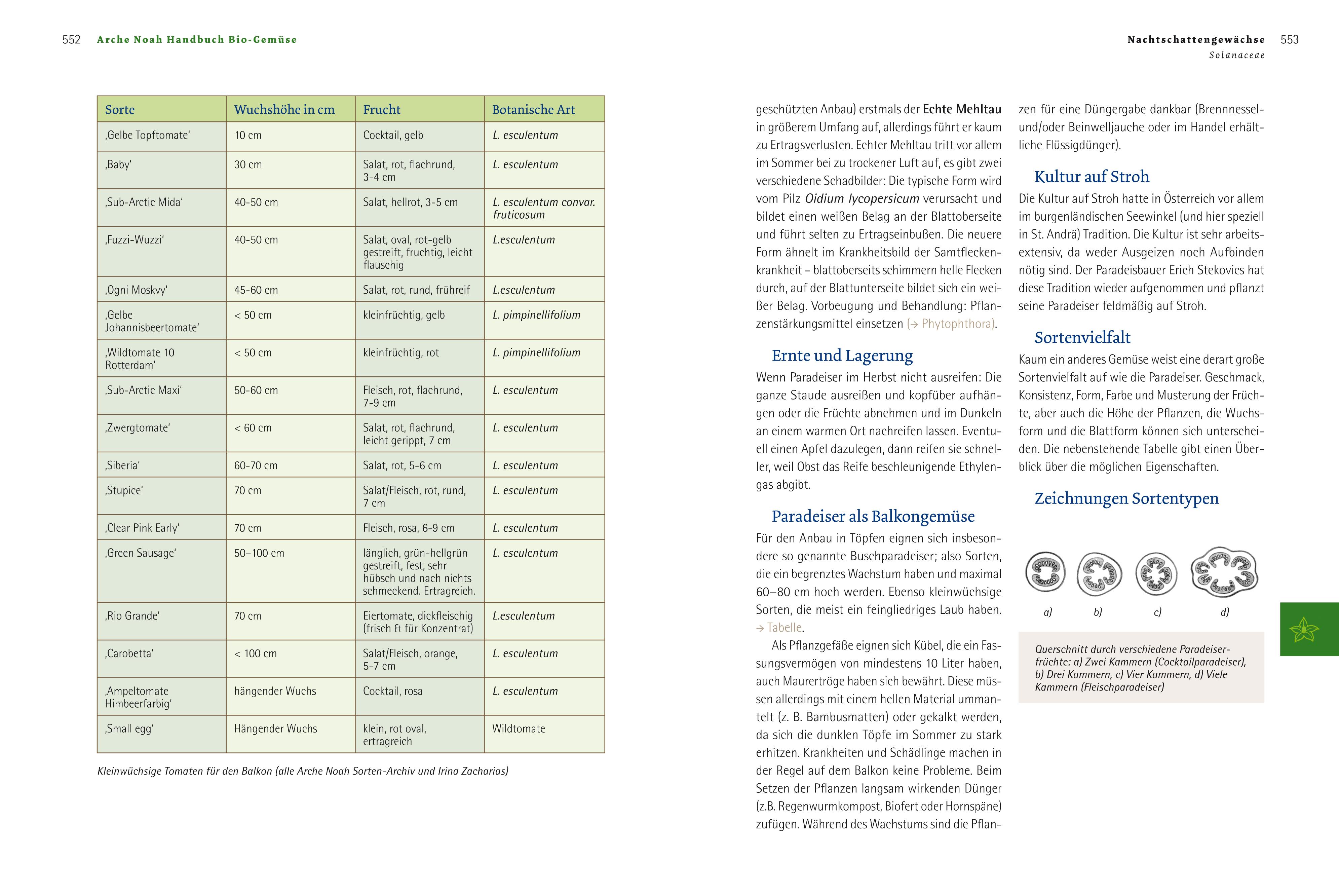 Beispielinhalt (Bild) Handbuch Bio-Gemüse