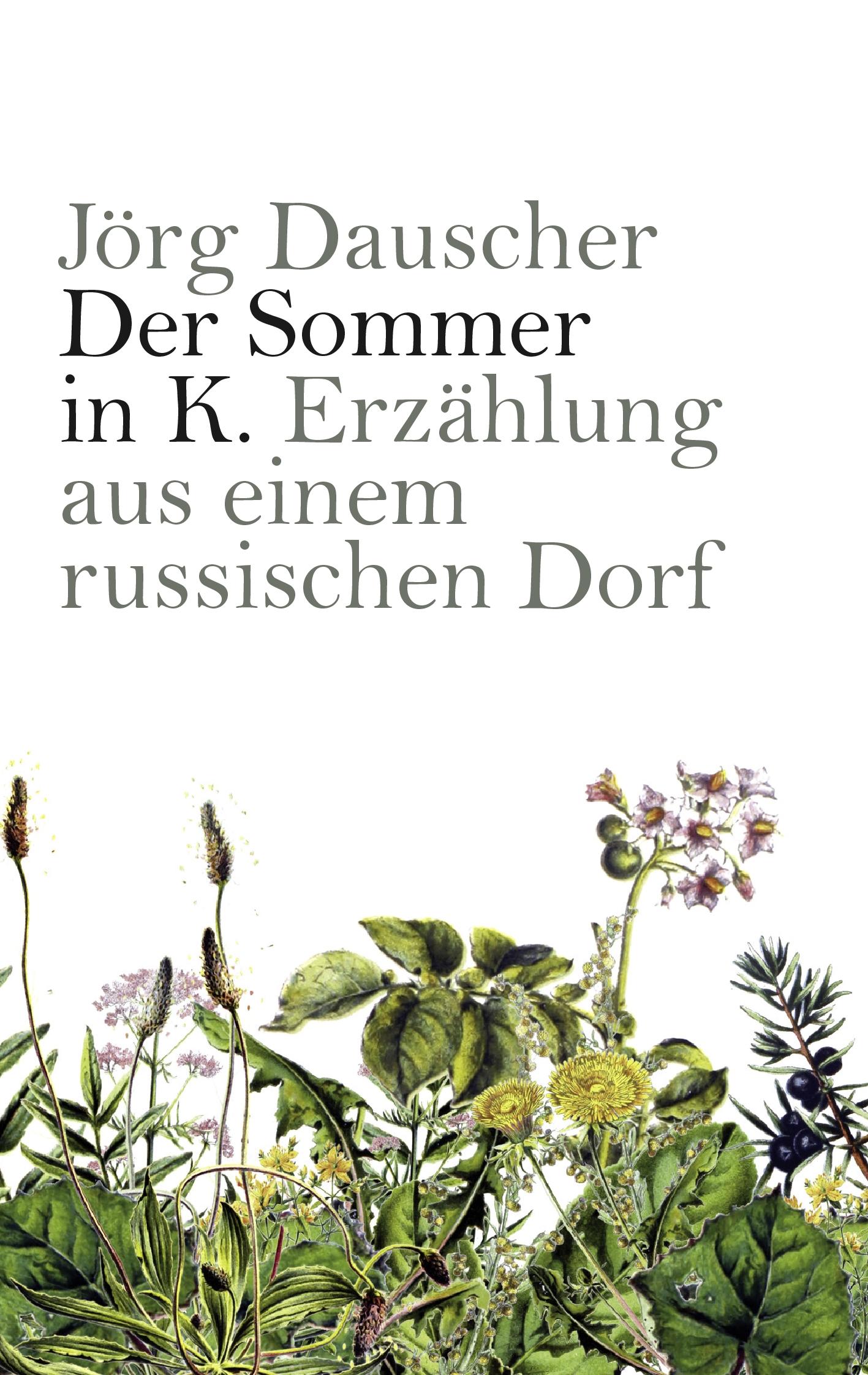 Vorderes Coverbild Der Sommer in K.