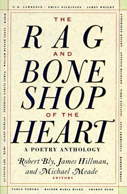 Vorderes Coverbild The Rag and Bone Shop of the Heart