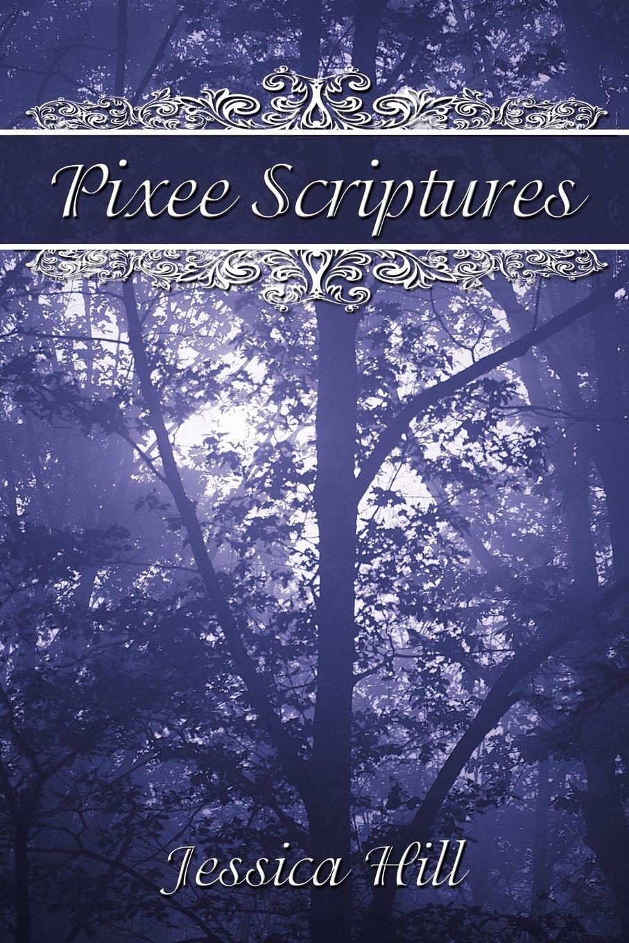 Vorderes Coverbild Pixee Scriptures