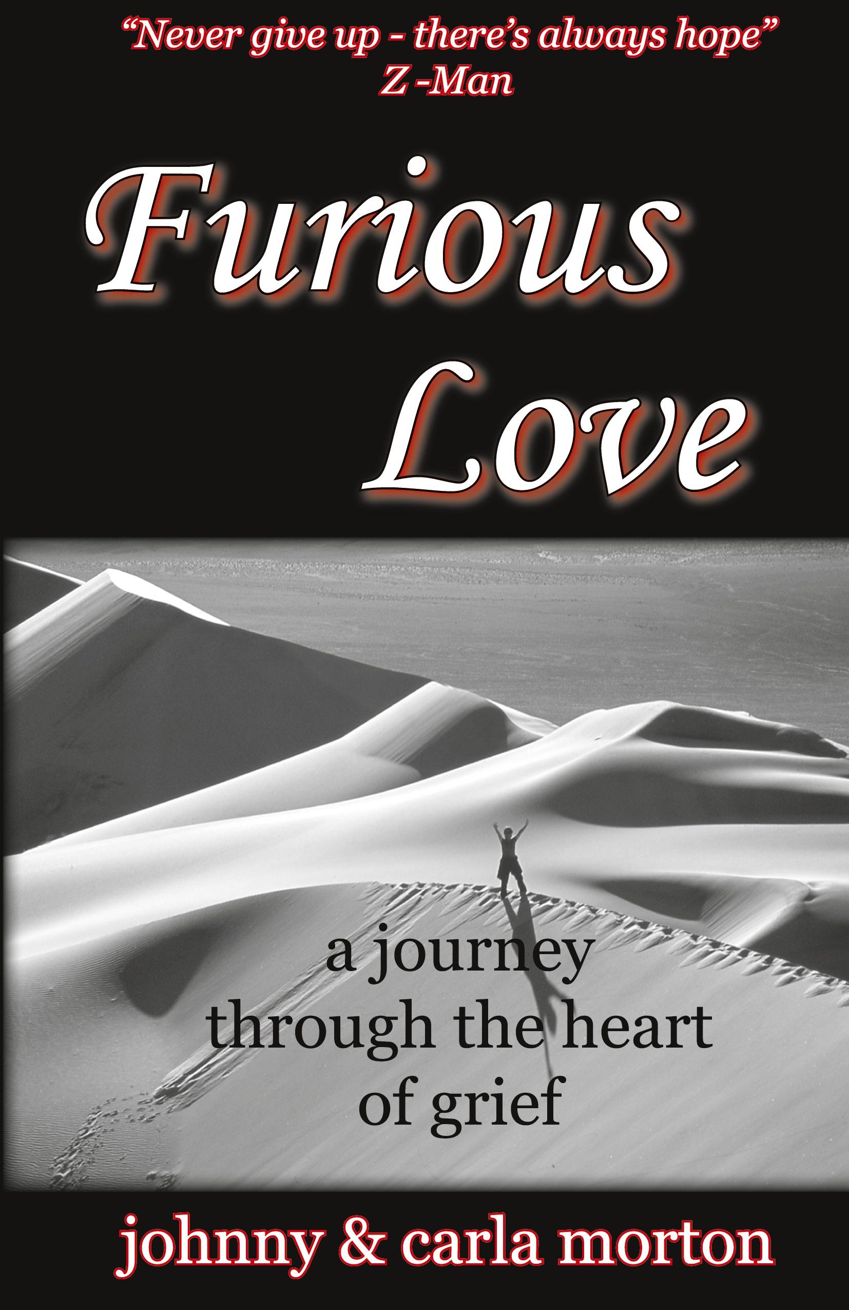 Vorderes Coverbild Furious Love