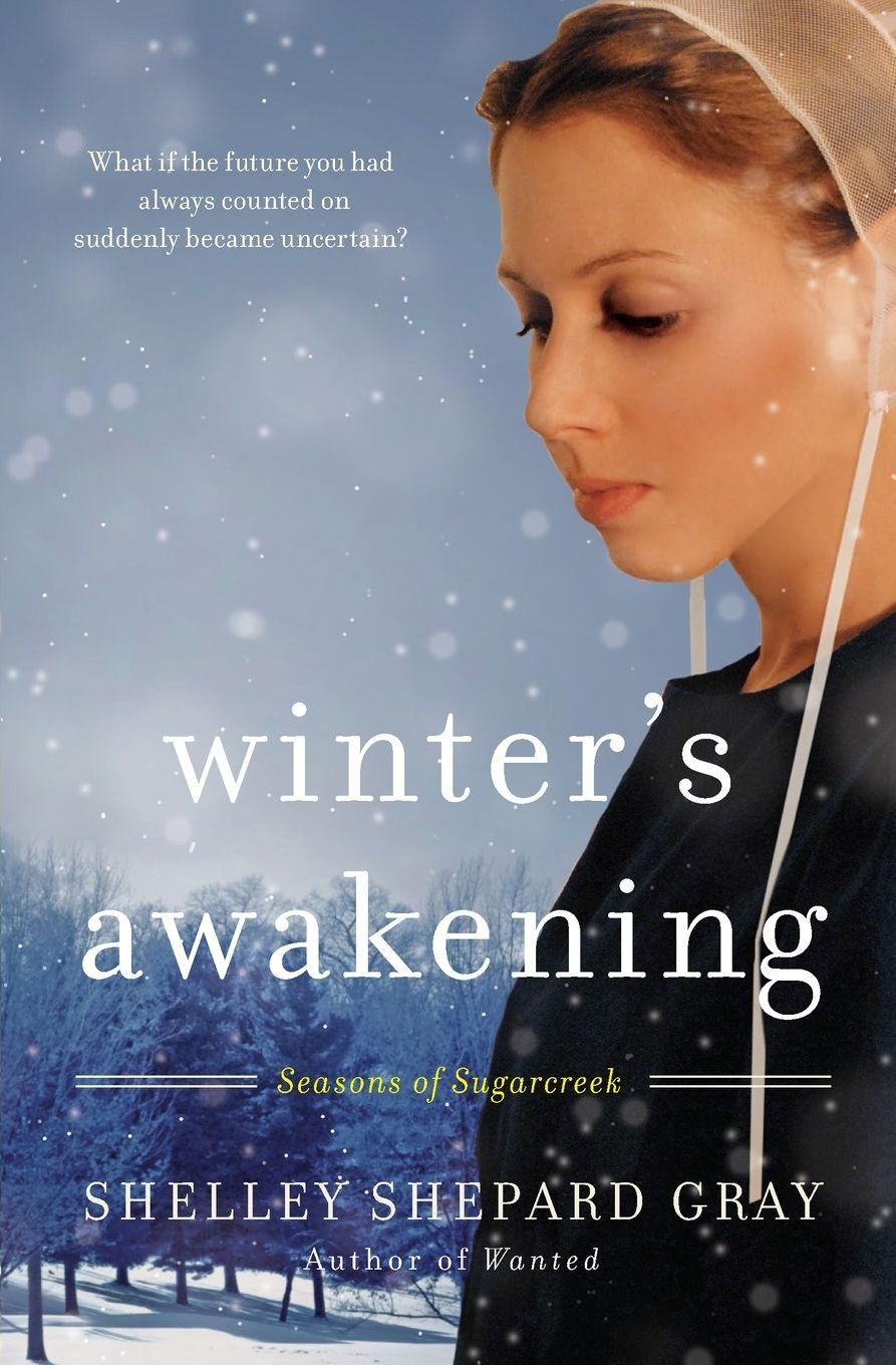 Vorderes Coverbild Winter's Awakening