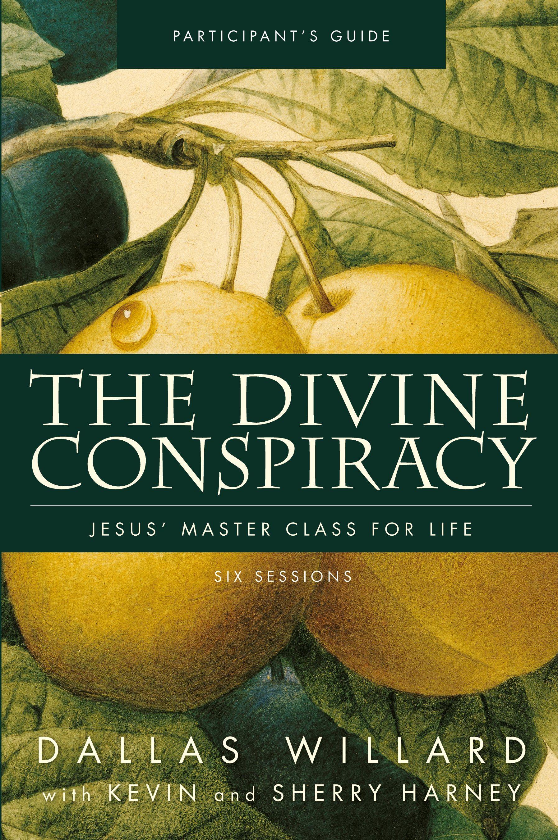 Vorderes Coverbild The Divine Conspiracy Participant's Guide