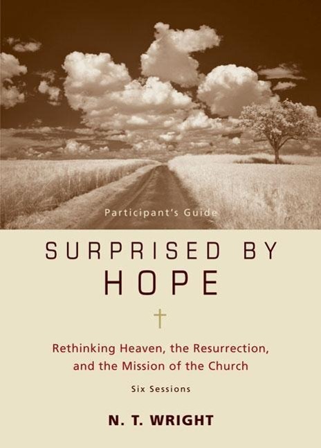 Vorderes Coverbild Surprised by Hope Participant's Guide