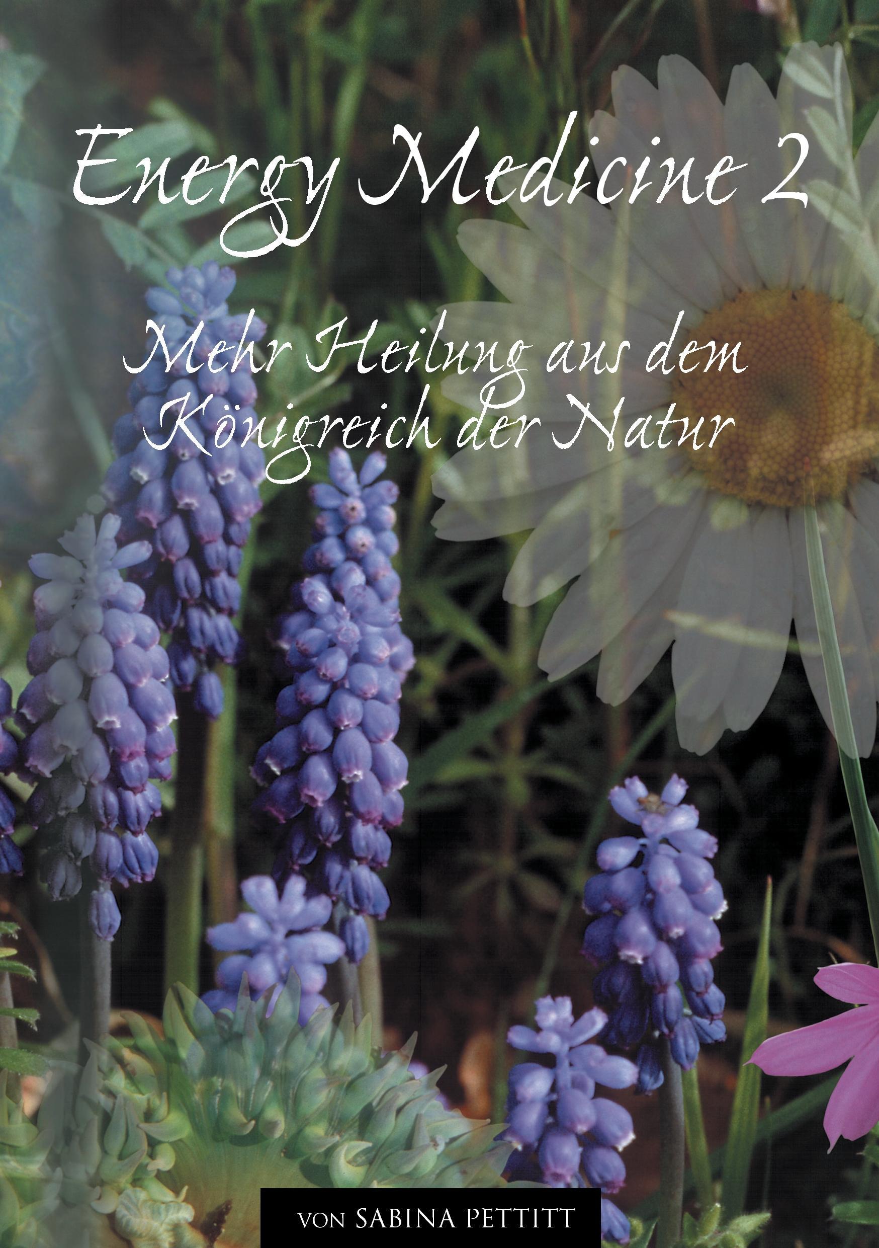 Vorderes Coverbild Energy Medicine 2