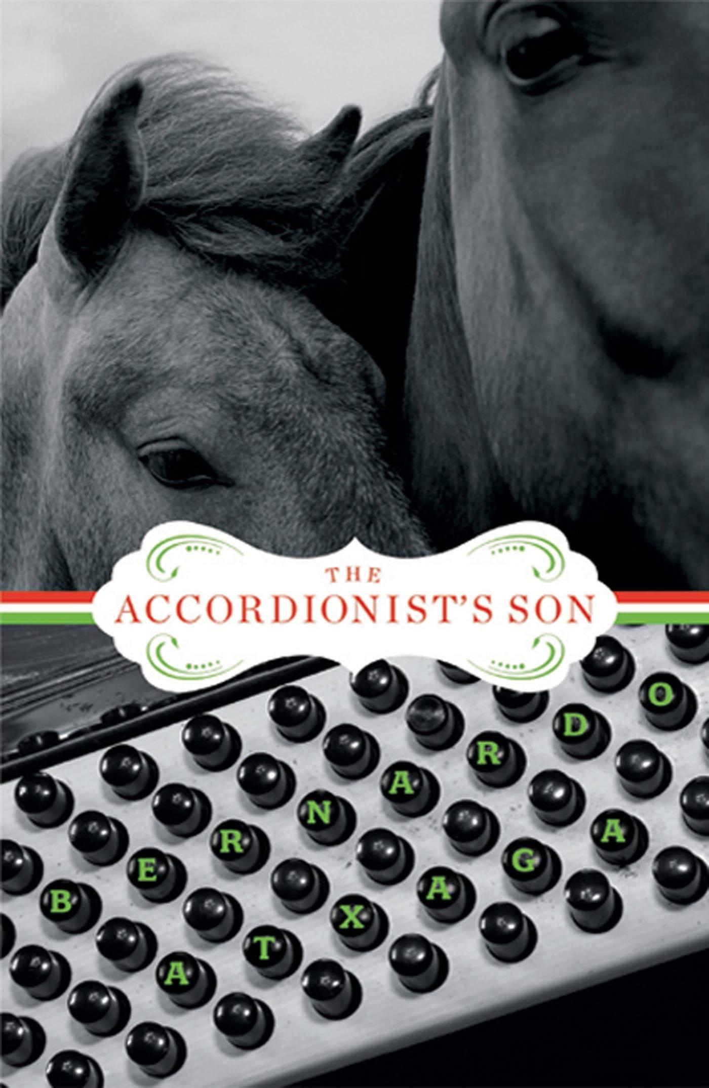 Vorderes Coverbild The Accordionist's Son