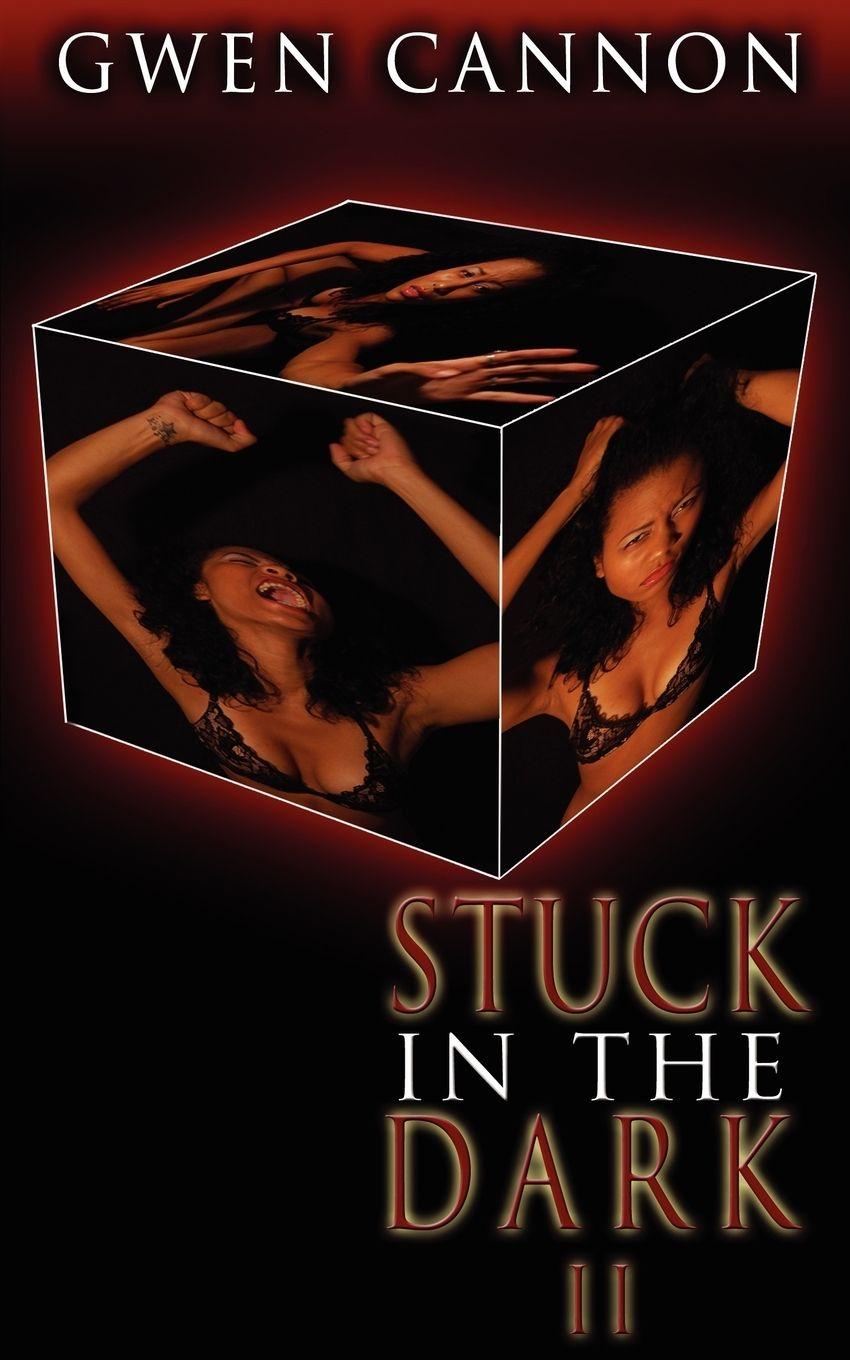 Vorderes Coverbild Stuck in the Dark II