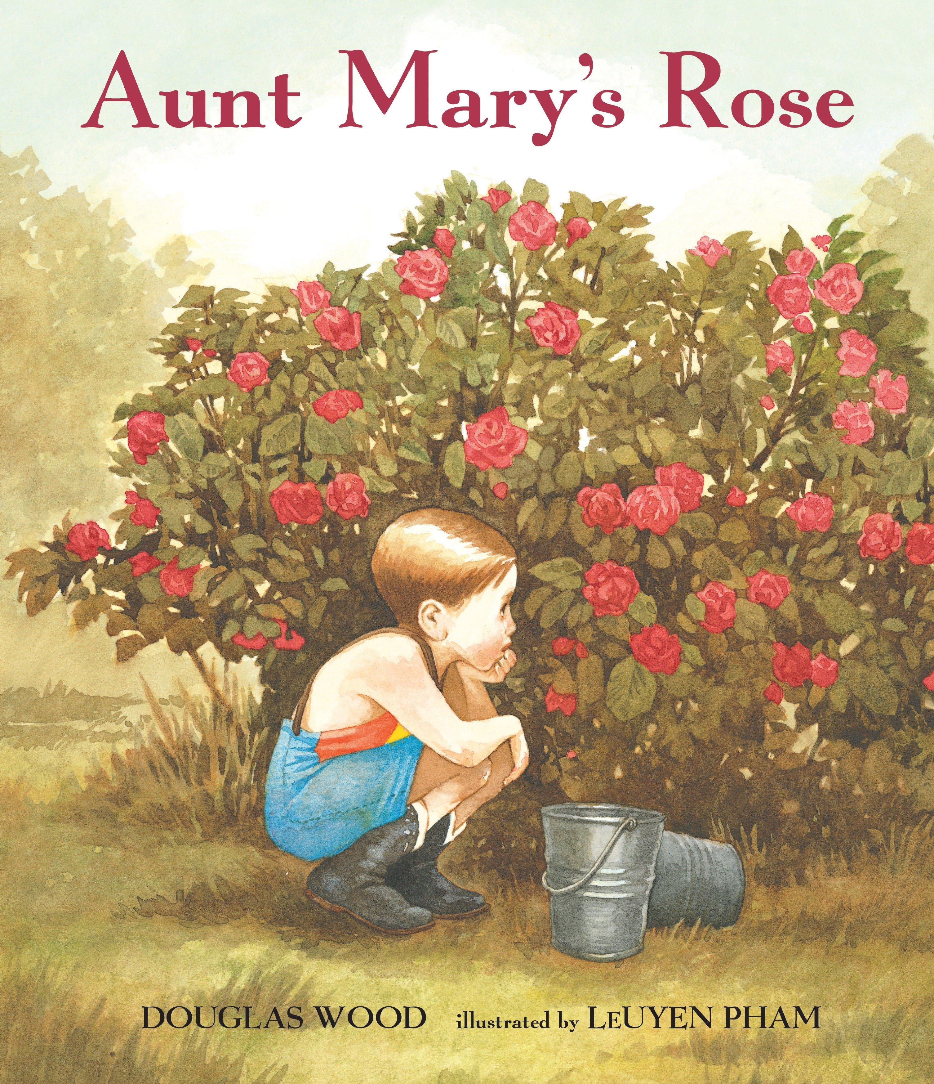 Vorderes Coverbild Aunt Mary's Rose