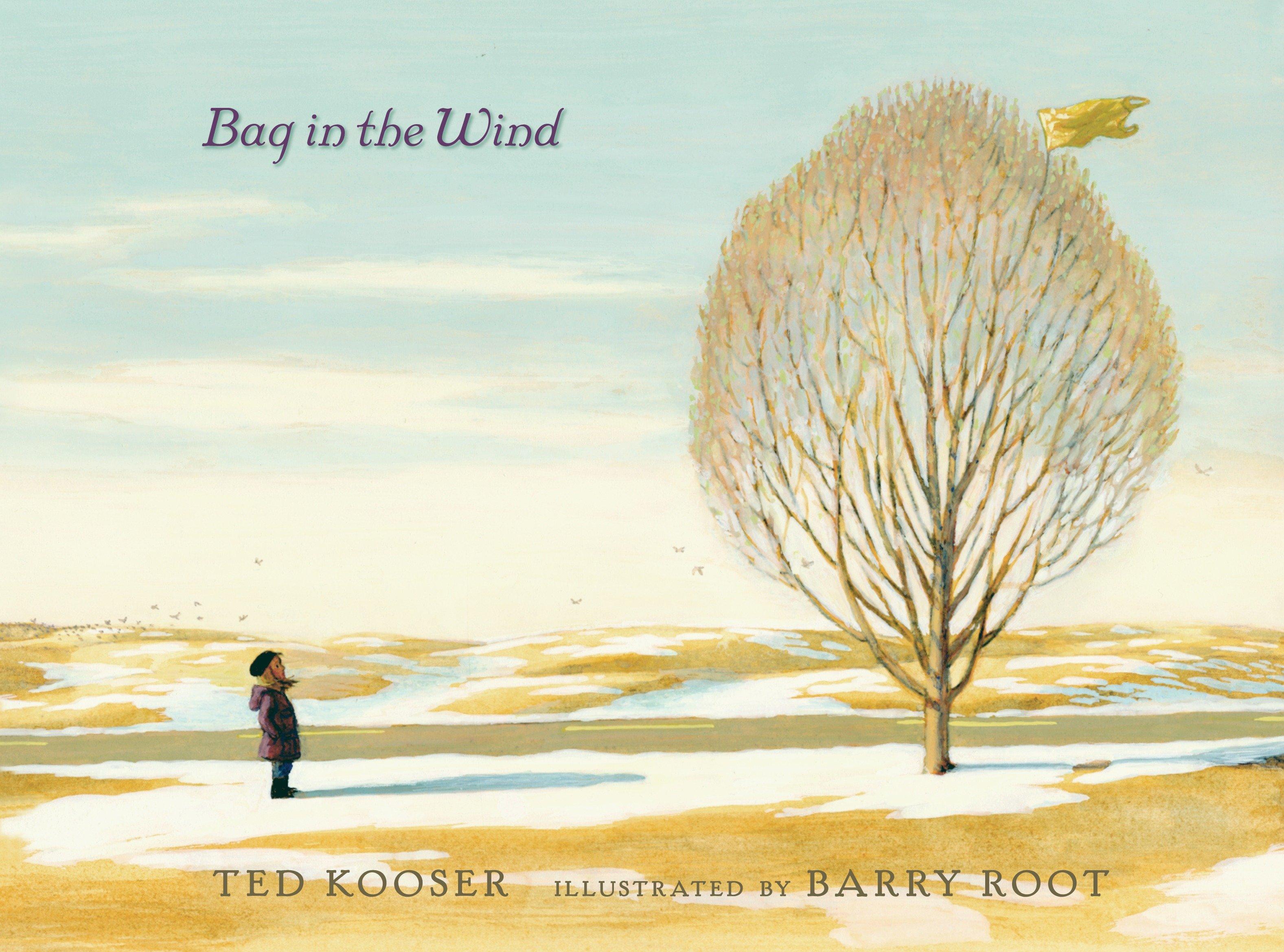 Vorderes Coverbild Bag in the Wind