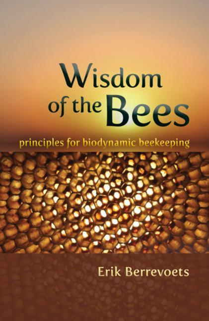 Vorderes Coverbild Wisdom of the Bees