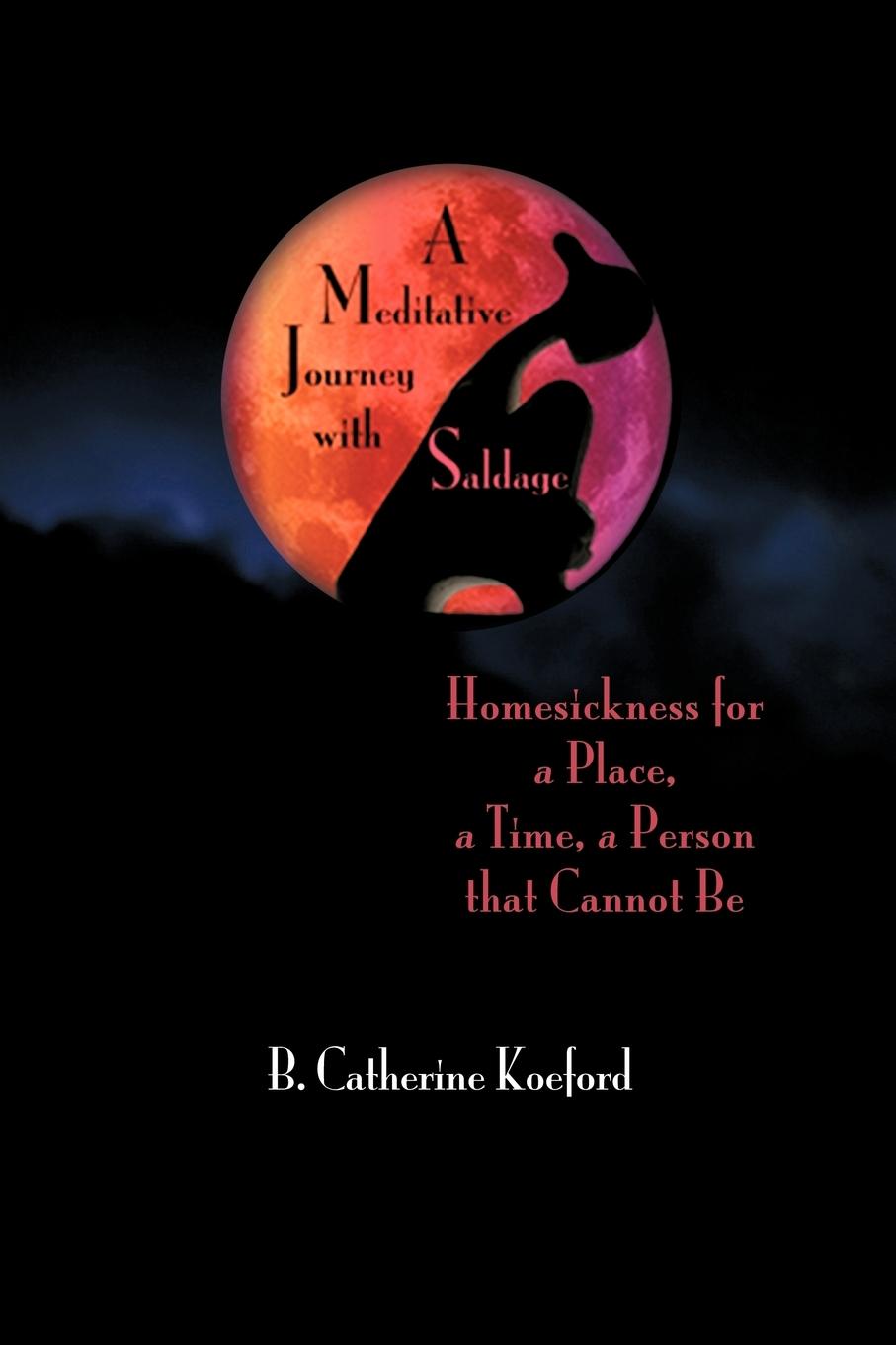 Vorderes Coverbild A Meditative Journey with Saldage