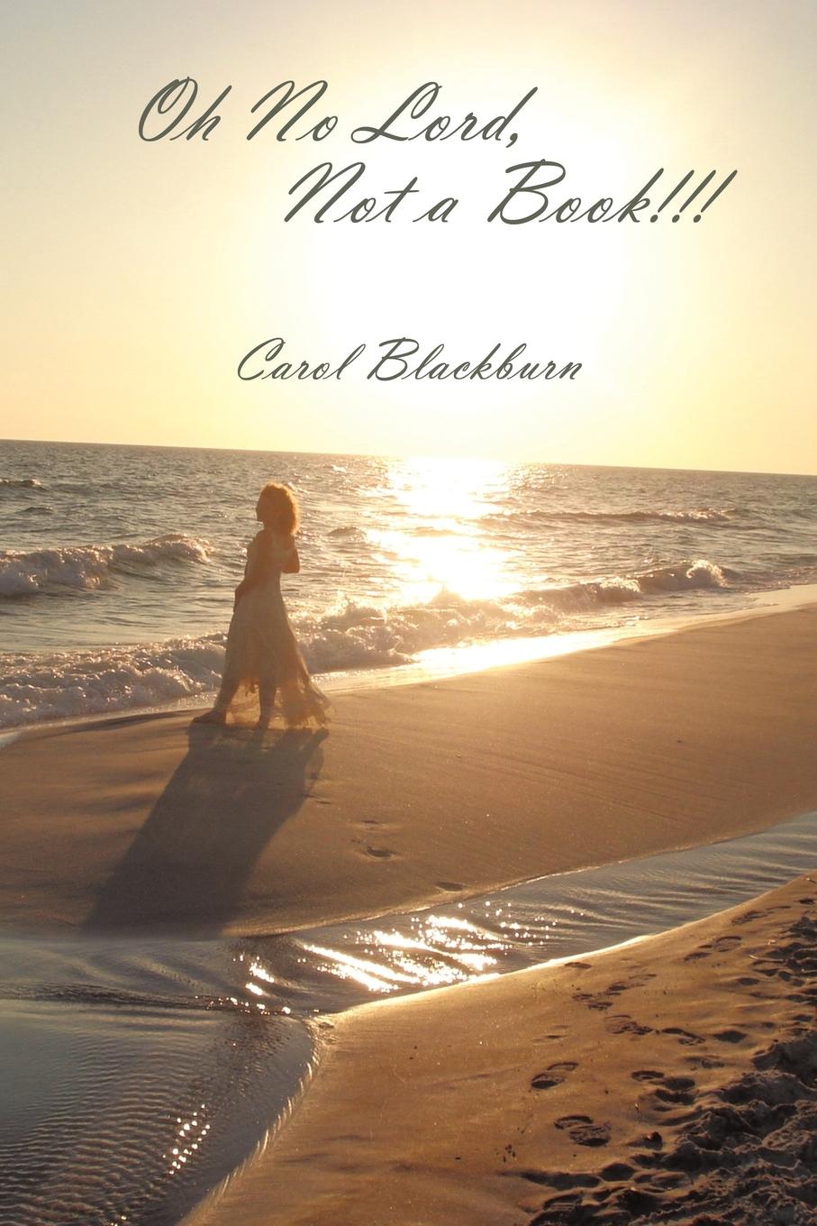 Vorderes Coverbild Oh No Lord, Not a Book