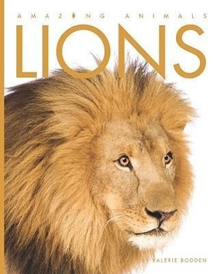 Vorderes Coverbild Lions