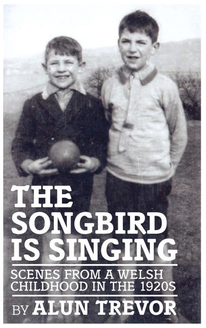 Vorderes Coverbild The Songbird Is Singing