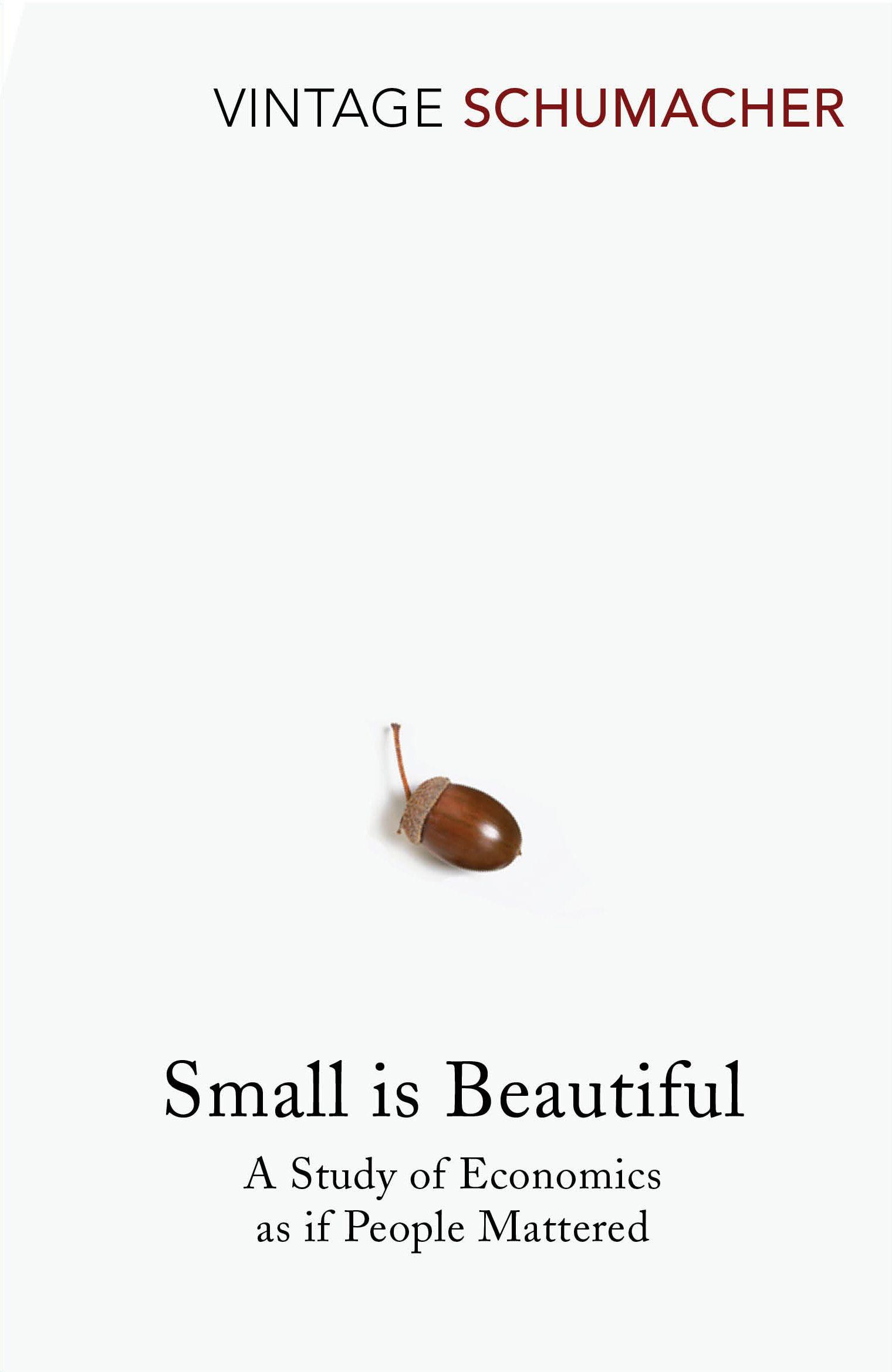 Vorderes Coverbild Small Is Beautiful