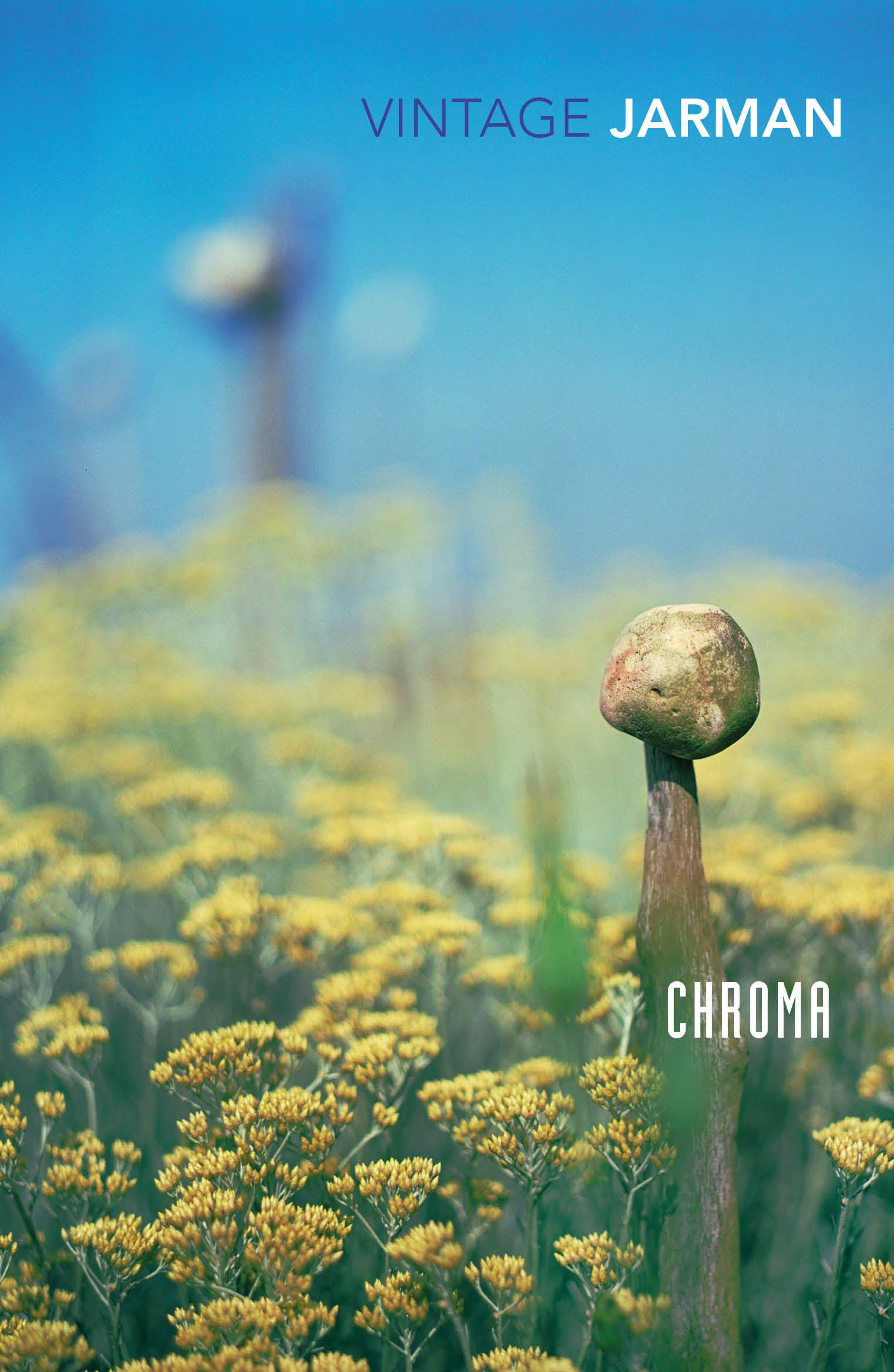 Vorderes Coverbild Chroma