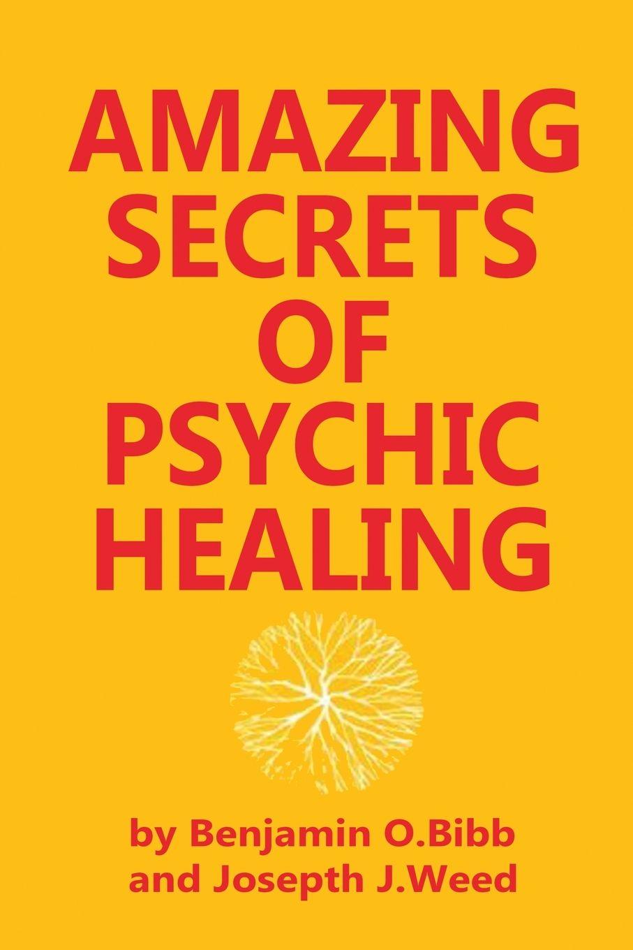 Vorderes Coverbild Amazing Secrets of Psychic Healing