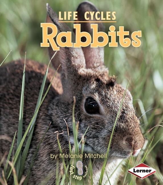 Vorderes Coverbild Rabbits