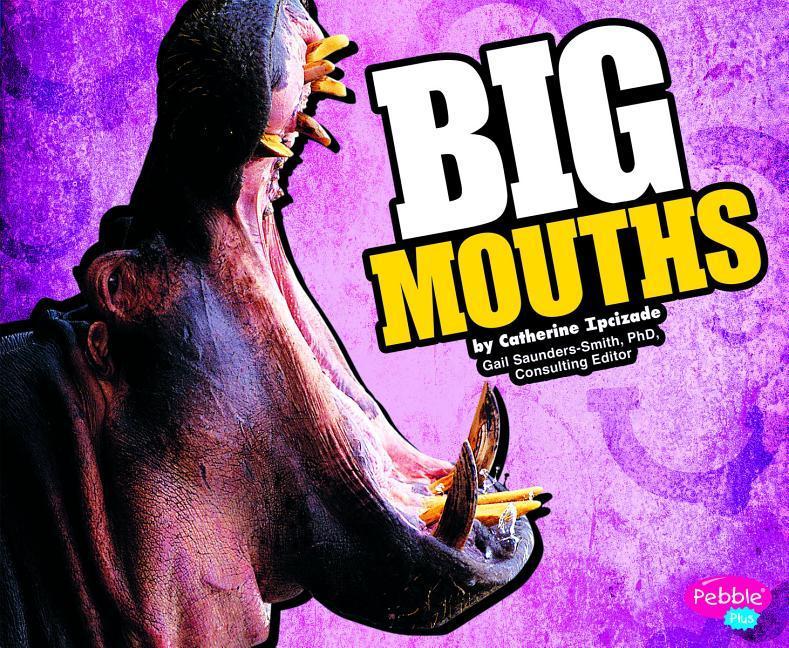 Vorderes Coverbild Big Mouths