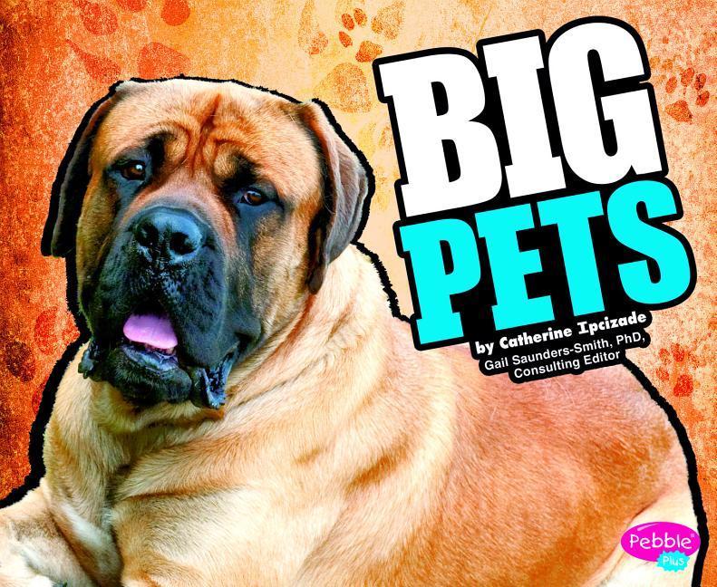 Vorderes Coverbild Big Pets