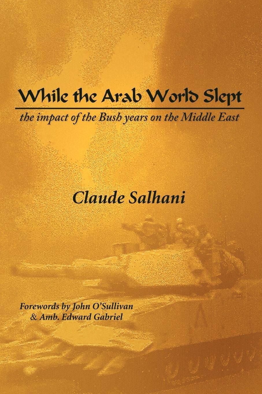 Vorderes Coverbild While the Arab World Slept