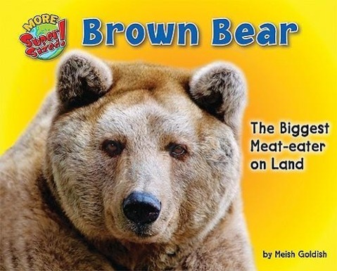 Vorderes Coverbild Brown Bear