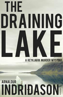 Vorderes Coverbild The Draining Lake