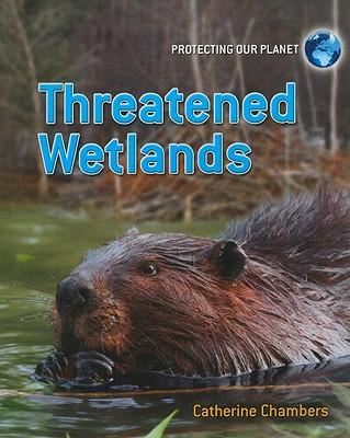 Vorderes Coverbild Threatened Wetlands