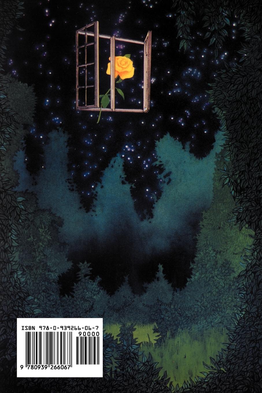 Rückseitencover Windows to Our Children