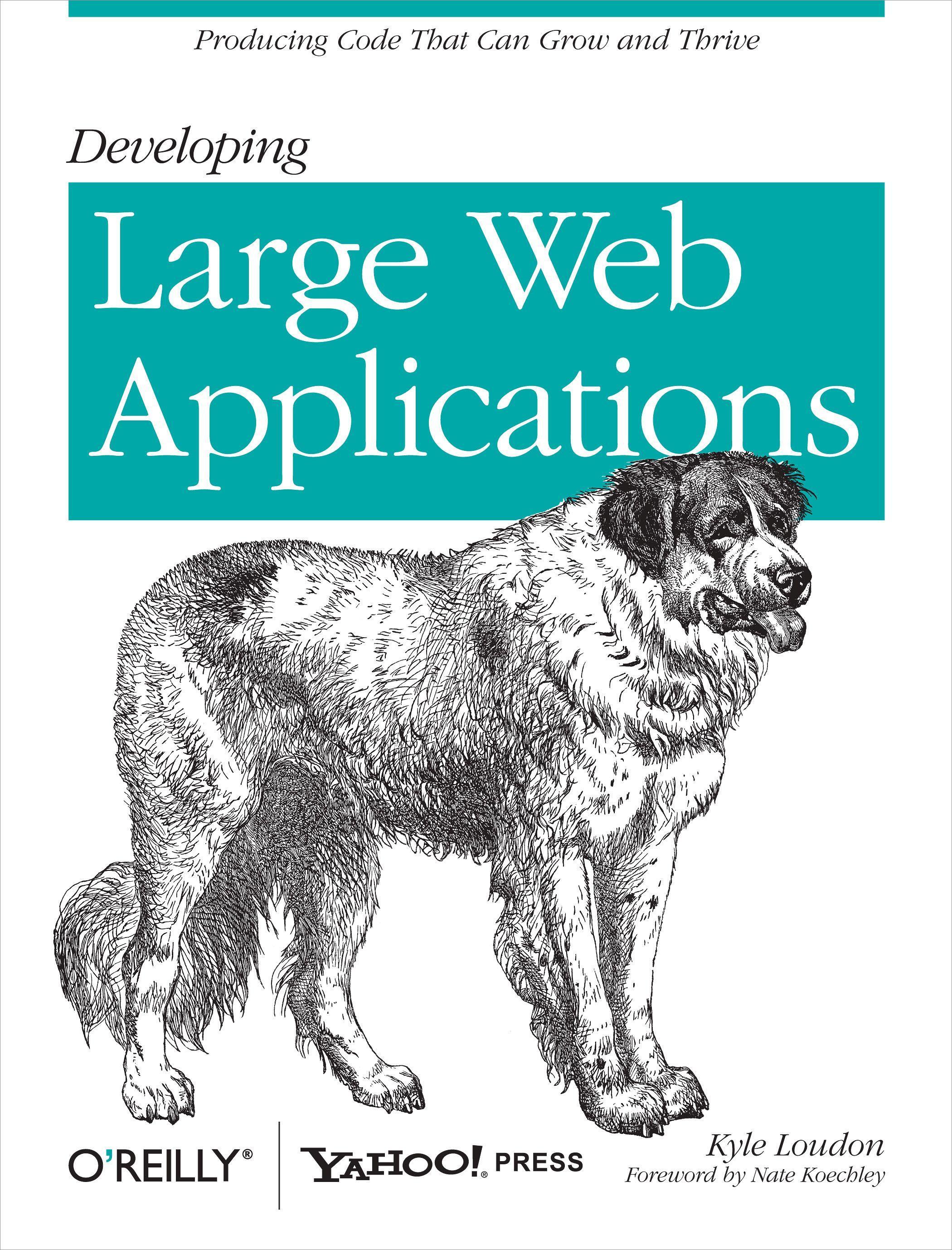 Vorderes Coverbild Developing Large Web Applications